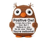 Positive Owl Crochet Doll Handmade Knitted Desk Accessory with Encouragement Card, Emotional Support Gift for Office Coworkers, Students, and Stress Relief Home Decor