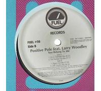 Positive Pole Feat.Wood,Larry - You Belong to Me [Vinyl Maxi-Single] [VINYL]