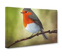 Positive Robin Bird Canvas Print | Gallery Wrapped 30mm Frame Wall Art | 30x20 inches | Ready to Hang | Contemporary Animals Picture | Living Room Bedroom Lounge Office