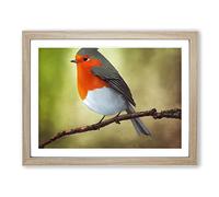 Positive Robin Bird Framed Wall Art Print A2 Oak