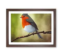 Positive Robin Bird Framed Wall Art Print A2 Walnut