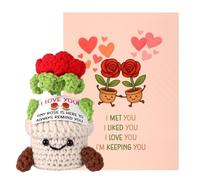 Positive Rose Crochet, 5.12x2.36x2.36in Knitted Red Roses with Inspirational Card Emotional Potted Support Plush Flowers Crochet Plant Encouraging Potato Doll Gifts Decor for Loved One (for Husband)