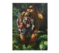 Possessed Colourful Wooden Jigsaw Puzzle for Adults, 500 PCS