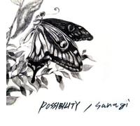 Possibility - Sanagi