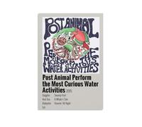 Post Animal Perform The Most Curious Water Activities - Post Animal Poster Decorative Painting Canvas Wall Posters And Art Picture Print Modern Family Bedroom Decor Posters 16x24inch(40x60cm)