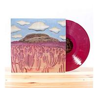 Post Animal - When I Think Of You In A Castle (Colored Vinyl) [VINYL]