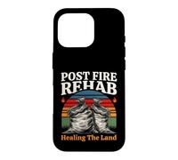 Post Fire Rehab Healing The Land Wildfire Restoration Case for iPhone 16 Pro