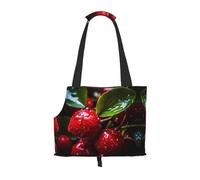 Post-Harvest Fruit Printed pet Shoulder Bag - Foldable Design, Small cat and Dog Travel Bag