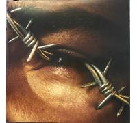 Post Malone - Beerbongs & Bentleys (2 LP)