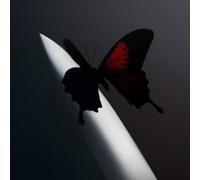 Post Malone - Twelve Carat Toothache (2023) 2 LP Vinyl Pre-order