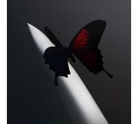 POST MALONE - Twelve Carat Toothache - Vinyl - 61 - F99z