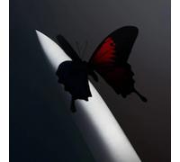 Post Malone - Twelve Carat Toothache (Lemon Yellow Vinyl) (Indies)-POST MALONE