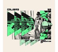 Post Momentum [12" VINYL]