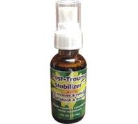 Flower Essence Services Post-Trauma Stabilizer Spray, 1 Ounce