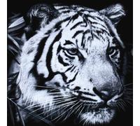 Post War Years - Greats and The Happenings [Import]