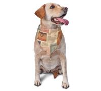 Postal Stationery Dog Bandana Pet Scarf Accessories for Small Medium Dogs Cats Photo Prop, Triangle Pet Bandanas Adjustable Puppy Bib Washable Dog Kerchief Puppy Neckerchief