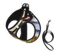 Postal Stationery Print Soft Mesh Dog Harness and Leash Set Pet Puppy Cat Comfort Padded Vest No Pull Harnesses