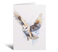 Postcard Prints - Barn Owl Notelet Card For Anyone Cute Any Occasion Card For Her or For Him 5x7, A6 Card For Birthday or Easter Card Thank You Card Wildlife
