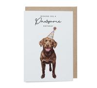 Postcard Prints - Chocolate Labrador Birthday Card - Cute Dog Lover Card with Party Hat - Pawsome Birthday Greeting Card for Dog Owners