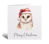 Postcard Prints - Fun Christmas Card of a Barn Owl Wearing A Santa Hat Whimsical Watercolour Christmas Card For Bird Lover For Him or Her