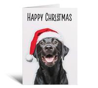 Postcard Prints - Fun Christmas Card of a Black Labrador Dog Wearing A Santa Hat Whimsical Christmas Card For Animal Lover For Him or Her - 2 Cards