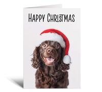 Postcard Prints - Fun Christmas Card of a Chocolate Cocker Spaniel Dog Wearing A Santa Hat Whimsical Christmas Card For Animal Lover For Him or Her - 3 Cards