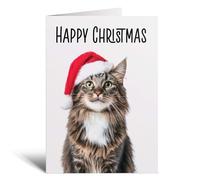 Postcard Prints - Fun Christmas Card of a Maine Coon Cat Wearing A Santa Hat Whimsical Christmas Card For Animal Lover For Him or Her - 5 Cards