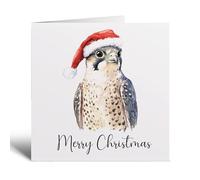 Postcard Prints - Fun Christmas Card of a Peregrine Falcon Wearing A Santa Hat Whimsical Watercolour Christmas Card For Bird Lover For Him or Her