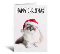 Postcard Prints - Fun Christmas Card of a Ragdoll Cat Wearing A Santa Hat Whimsical Christmas Card For Animal Lover For Him or Her - 2 Cards