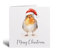 Postcard Prints - Fun Christmas Card of a Robin Wearing A Santa Hat Whimsical Watercolour Christmas Card For Bird Lover For Him or Her