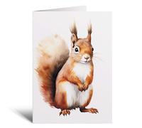Postcard Prints - Red Squirrel Notelet Card For Anyone Any Occasion Card For Her or For Him 5x7, A6 Card For Birthday or Easter Card Thank You Card Wildlife