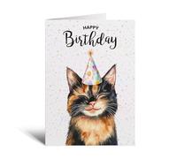 Postcard Prints - Tortoiseshell Cat Illustration Birthday Card for Him or Her - Unique Cat Lover's Gift - 5x7 Inch - 100% Recycled Card with Kraft Envelope