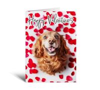 Postcard Prints - Valentine's Day Card Of A Red Cocker Spaniel - Dog Lover Card For Her Or Him From The Dog - Cocker Spaniel Card - Large 5x7 - Matte Finish - 1 Card