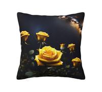 Poster Carguitar Plectrums 12 Piece Set, 3 Thicknesses Plectrums With Case For Bass Guitar, &Electric Guitar And More.