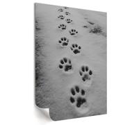 Poster for Apartment Wall Decor 59,5x84 cm Animal tracks