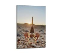 Poster Frame Canvas Wall Art Prints for Room Decor - Brown Scorpion Animal Raising Tail Against Light in Desert 20x30inch(50x75cm) Picture Frame Artwork