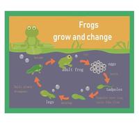poster Frog Life Cycle Poster for Kids - Educational Science Chart from Egg Tadpole to Frog, Classroom Wall Art & Homeschool Decor(Unframed,12x18inch(30x45cm))
