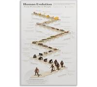 poster Human Evolution Timeline Poster, From Early Life to Modern Man Educational Chart, Science Wall Art for Classroom, Office(Unframed,16x24inch(40x60cm))
