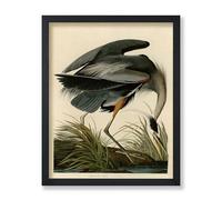 Poster Master Vintage James Audubon Poster - Retro Great Blue Heron Print - Birds of America Art - Gift for Men, Women & Animal Lover - Decor for Dorm, Living Room or Bedroom - 11x14 UNFRAMED Wall Art