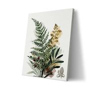 Poster Original Design Woodland Fern Watercolor Wall Art(24"x16" Wrapped Canvas) Rustic Forest Botanical Picture Spring Greenery Aesthetic Room Decor Red Berry Pinecone Illustration