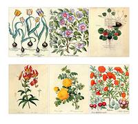 Poster Print Art Blooming Flowers Botanical Floral Vintage Illustration