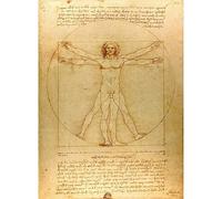 Poster Print Vitruvian Man by Leonardo Da Vinci Sketch Drawing Reproduction | Classic Artwork Painting Home Wall Decor, Living Room Bedroom Office Study, 40x55cm, Renaissance Masterpiece Gift