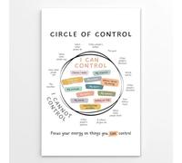 poster Therapy Office Decor Poster - Circle of Control Chart, Focus on What You Can Control for Mental Wellness, Classroom, Home(Framed,12x18inch(30x45cm))