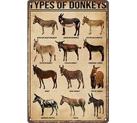 Posteration Types Of Donkey-Donkey Knowledge Exquisite And Beautiful Iron Poster Painting Art Metal Sign For Room Living Patio 20X30Cm