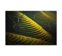 Postereck - 2099 - Vietnam Landscape, Nature Fields Terraces Rice - Nature Photography Print, Asian Travel Decor - ISO A - 8.3 x 11.7 in