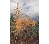 POSTERIIk Famous Animal Posters Vintage Picture on a Mountain Side Near Nelson British Colombia by Harold Copping Modern Wall Decor for Home Decor 60x90cm