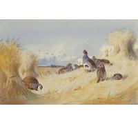 POSTERIIk Famous Modern Artwork Art Mural a Red Legged Patridge and a Covey of Grey Patridges by Archibald Thorburn Oil Paintings Pictures for Home Decor 60x90cm