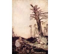 POSTERIIk Famous Modern Artwork Art Mural Alice Adventures in Wonderland by Arthur Rackham Oil Paintings Pictures for Home Decor 60x90cm