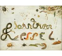 POSTERIIk Famous Modern Artwork Art Mural Garden and Other Spiders Caterpillars Spell the Artist's Name by Jan Van Kessel the Elder Oil Paintings Pictures for Home Decor 60x90cm