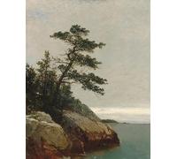 POSTERIIk Famous Modern Artwork Art Mural the Old Pine Darien Connecticut by Frederick Kensett Oil Paintings Pictures for Home Decor 60x90cm